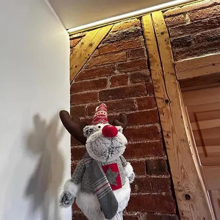 Bialy 아파트 카르파츠